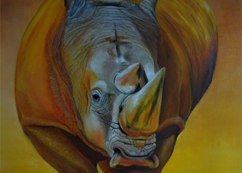 Neushoorn