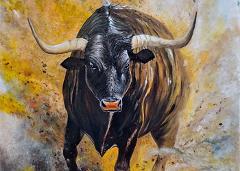 Stier