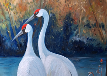 Vogels
